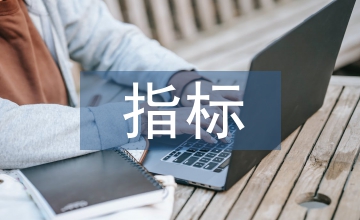 指標(biāo)體系建設(shè)下的企業(yè)電子商務(wù)論文