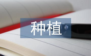 當(dāng)歸種植技術(shù)要點(diǎn)