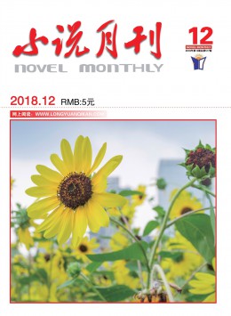 小說(shuō)月刊